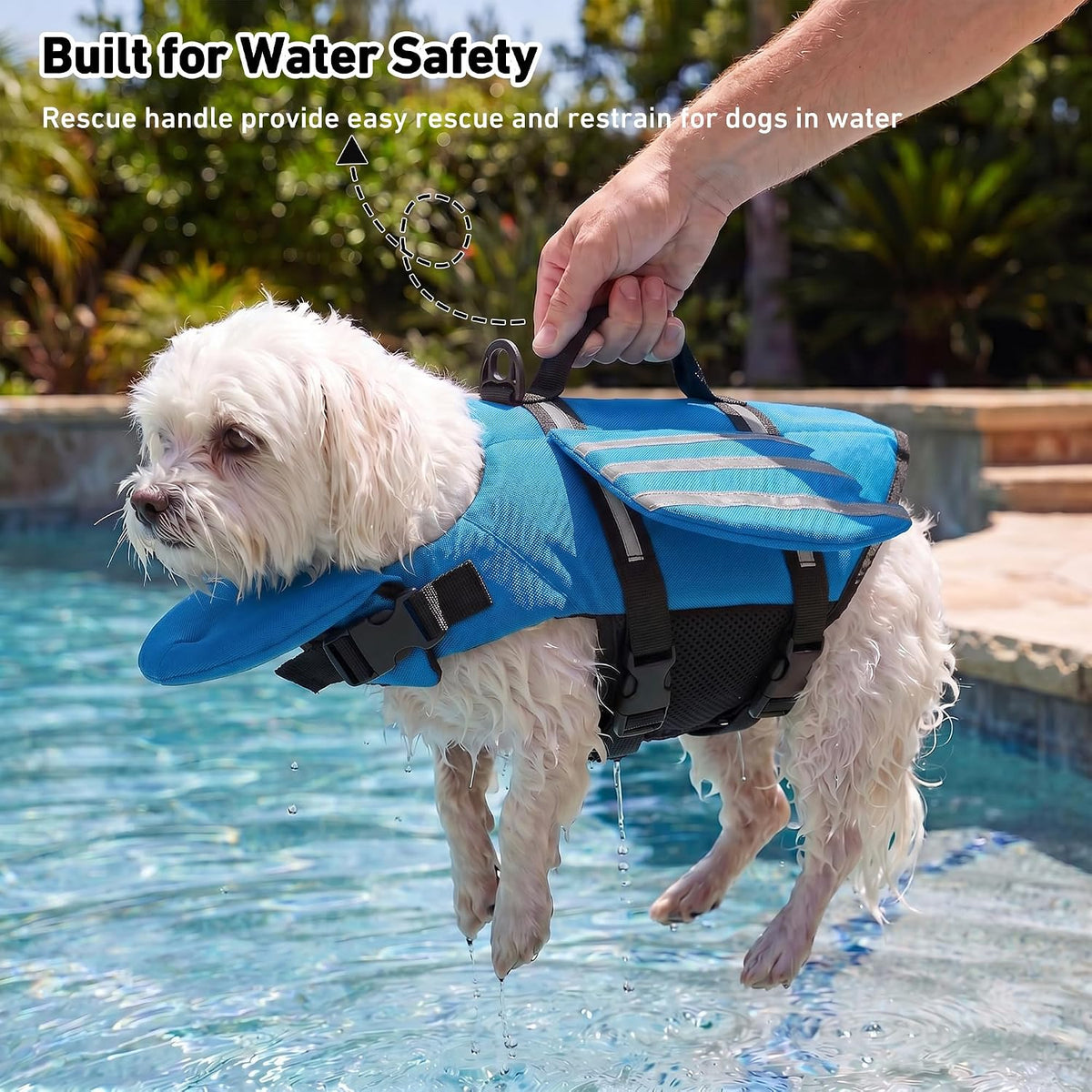 Dog Life Jacket, Cute Wings Adjustable Dog Life Vest with Chin Float and Handle for Swimming Boating Reflective High Buoyancy Swim Float Vest for Small Medium Large Dogs (Blue, XS)